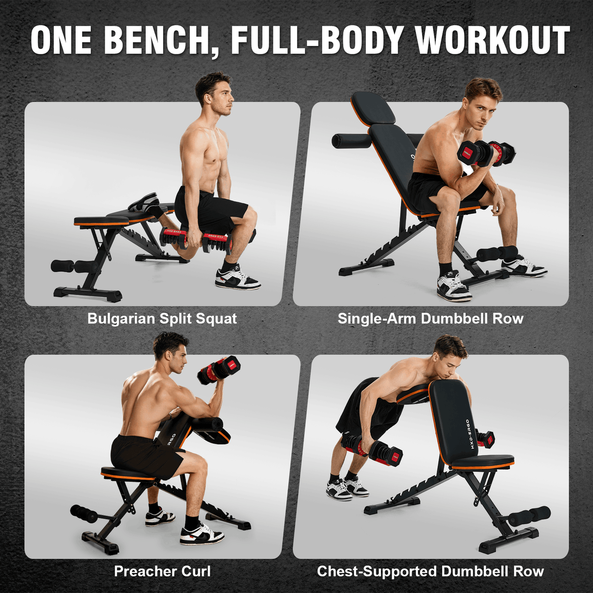 HXD-ERGO 660 lbs Capacity Adjustable Weight Bench, Foldable Incline/Decline Workout Bench for Home Gym, Multi-Position Fitness Training Equipment for Full Body Workouts, Strength Training Gear for Me